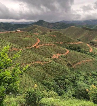 杏耀质量如何?,杏耀注册会员