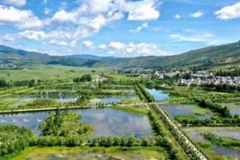 杏耀品牌高台升级服务增强创业孵化基地“造血”功能 杏耀品牌高台升级服务增强创业孵化基地“造血”功能